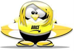 tux-brice